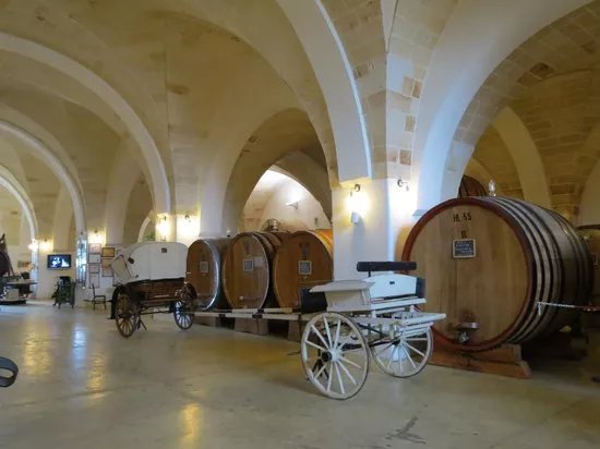 Museo della Civilta del Vino Primitivo