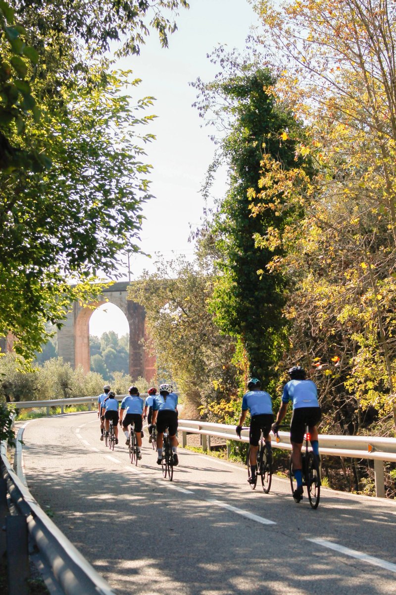 Adventure Bike Rental