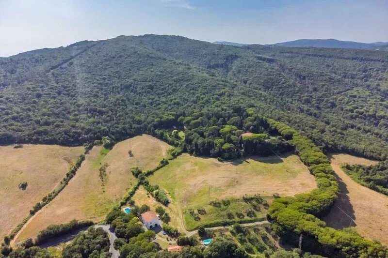 Podere gli Olivi by Interhome
