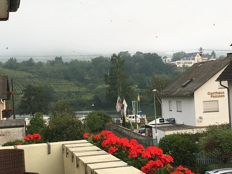Pension Haus Am Walde Brodenbach Mosel