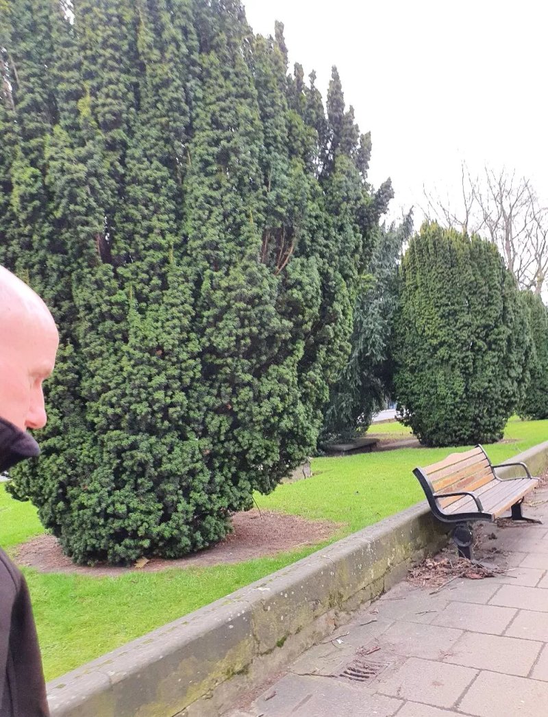 Cholera Burial Ground Memorial
