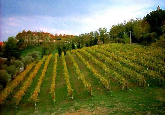 Fattoria Ca'Rossa