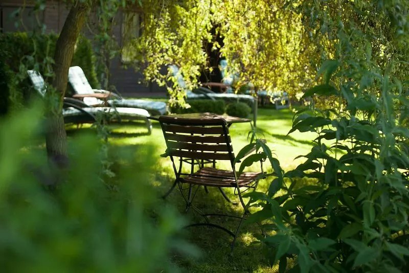 Small and very individual chalet with a special charm right on the lake...