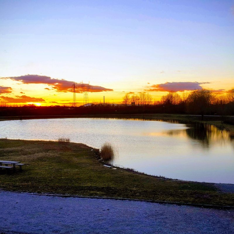 Restoran Zlatna Medalja