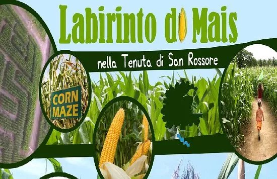 Labirinto di mais di San Rossore