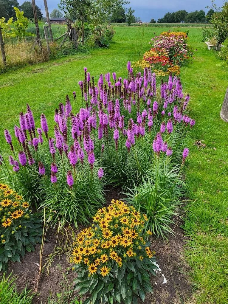 Pluktuin Dijkerhoek