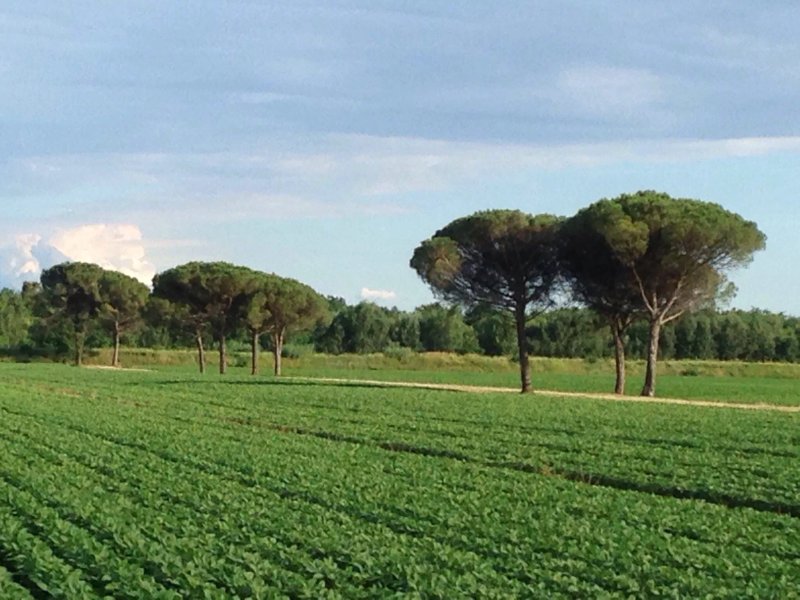 Azienda Agricola Magnas
