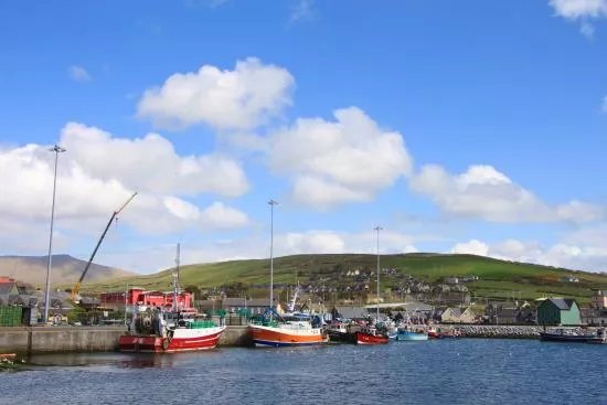 Dingle Marina