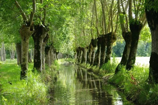 Embarcadere Cardinaud - Marais poitevin
