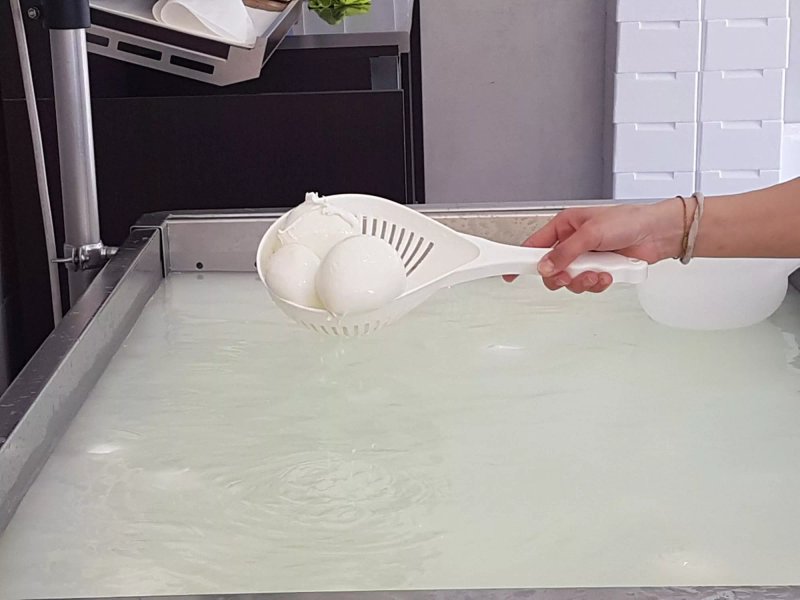 Caseificio La Mozzarella D.O.C.