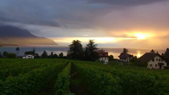 Domaine et Cave Christophe & Christine Bertholet