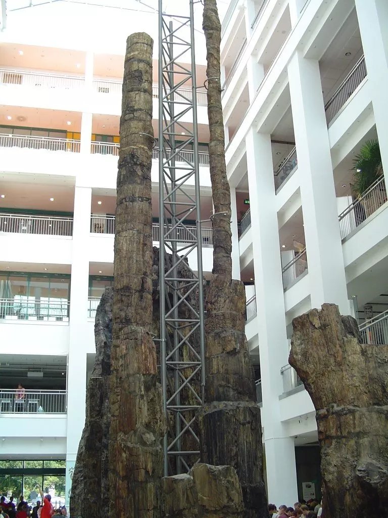 Museum fur Naturkunde Chemnitz