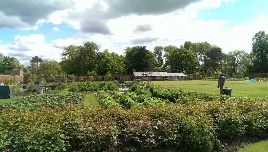 Elford Walled Garden