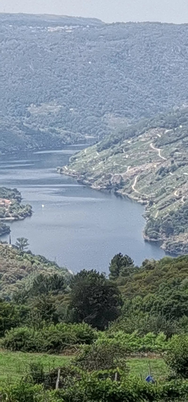 Deputacion de Lugo