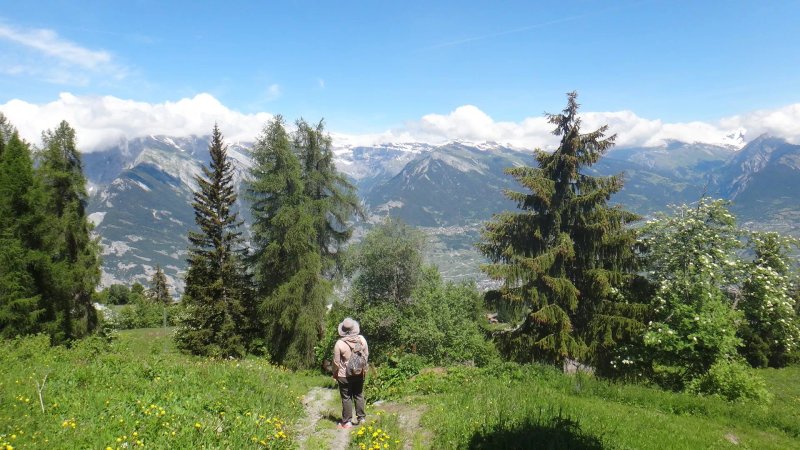 Résidence Mont-Calme