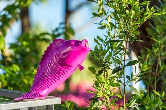 Purple Fish Lounge Bar
