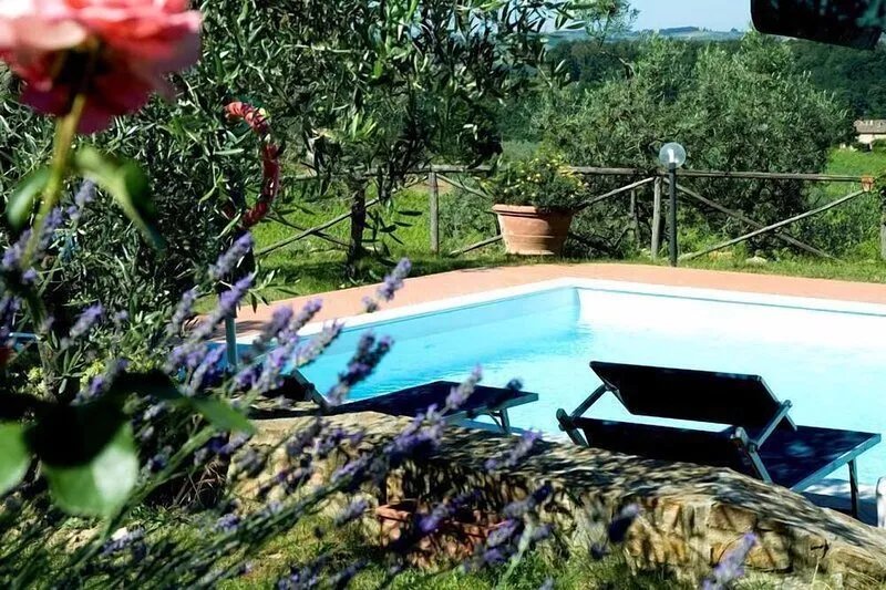 Apart in CHIANTI near Greve & San Casciano,PRIVATE POOL ONLY FOR YOU!