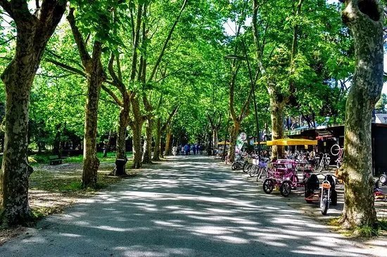 Nolo Cicli 2 Da Patrizia