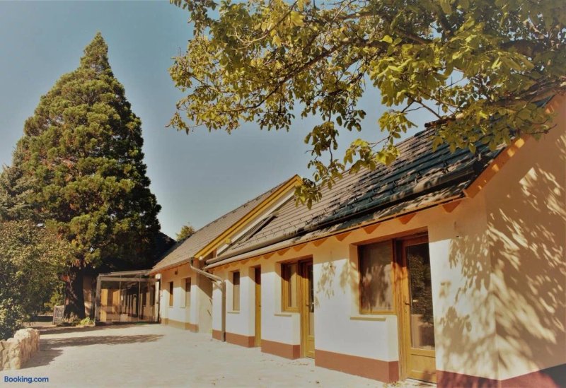 Mamutfenyo Panzio