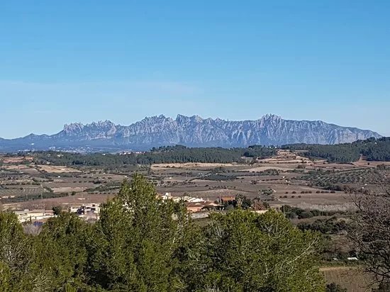 Miravinya La Cadira