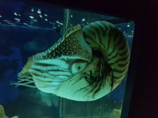 Tropicarium Park