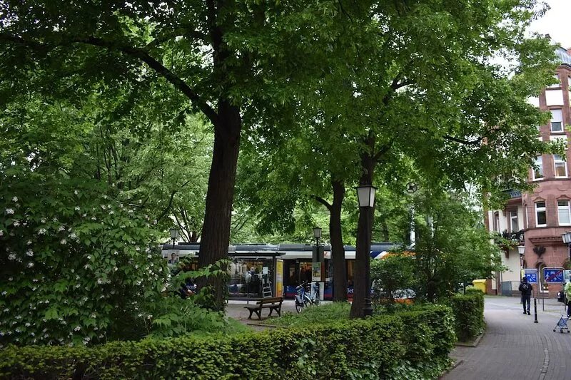 Idyllic, central, quiet, high-quality apartment in an old building with