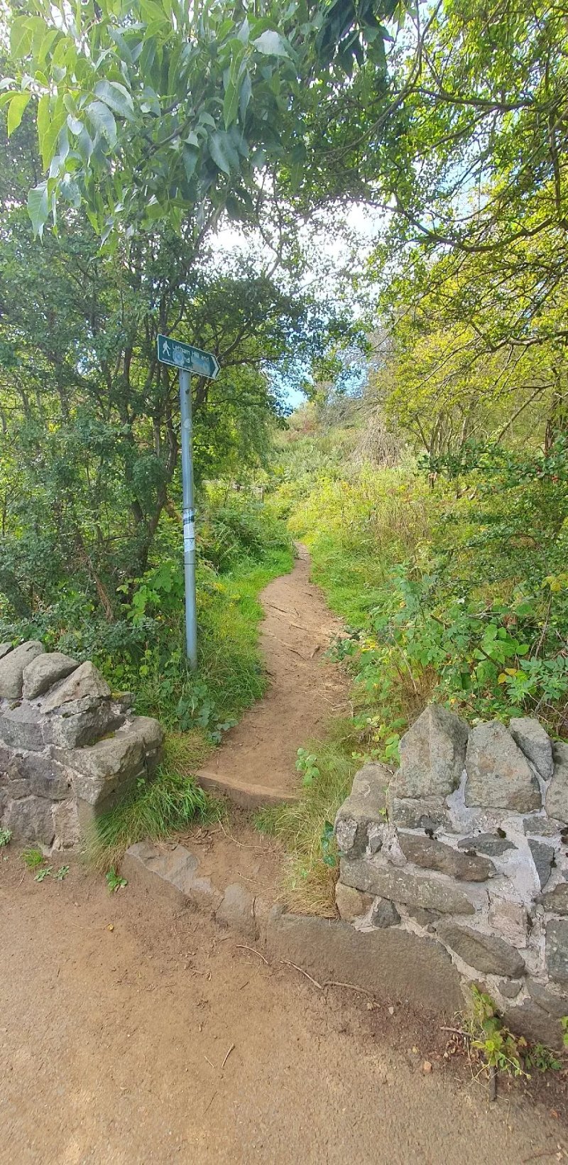 Letham Hill Wood
