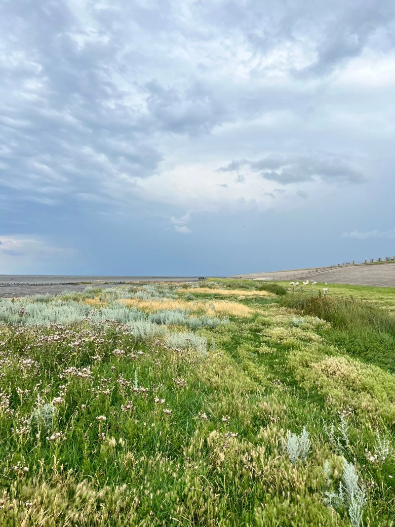 Wadloopcentrum Fryslan