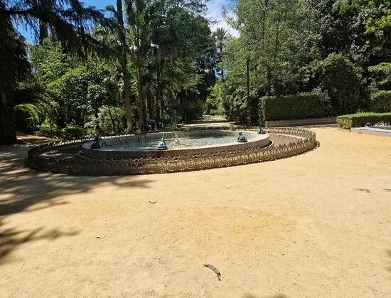 Fuente De Las Ranas ( Frog Fountain )