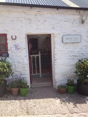 Sinead Lough Ceramist
