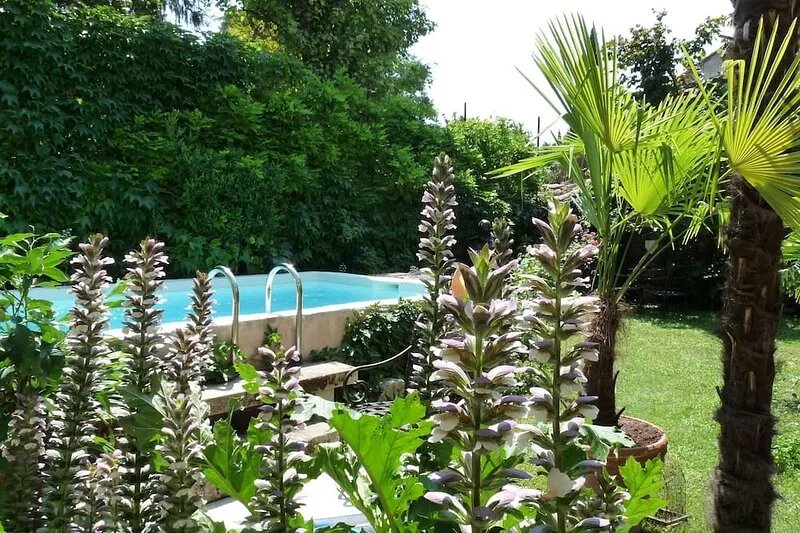 A green and fresh setting in Vaison la Romaine