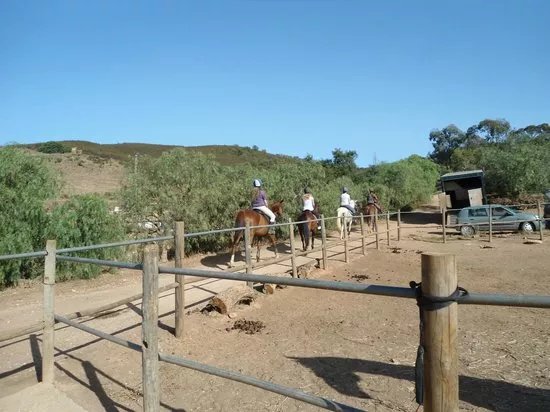 QPA Horse Riding Centre