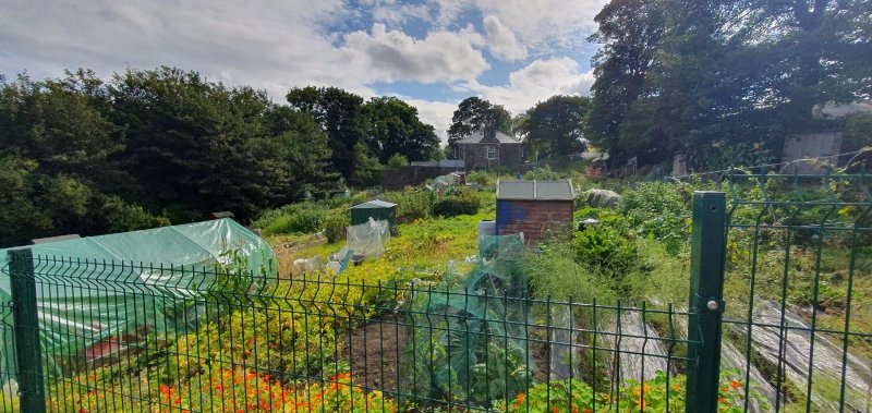 Hope Street Allotments