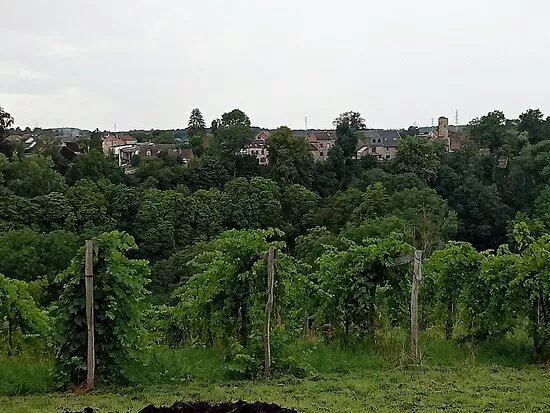 Ruines Chateau-Fort Dalhem
