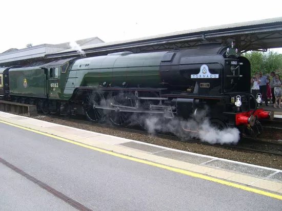 Torbay Express Limited