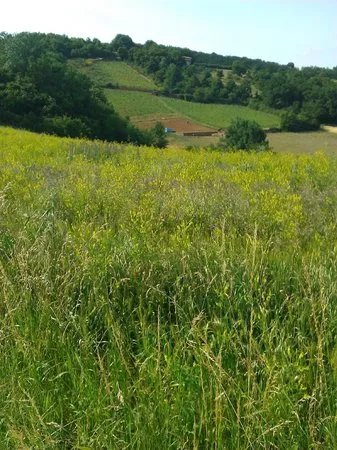 Ferme Biologique le Bouc et la Treille