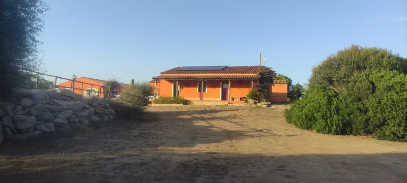 La Macciona