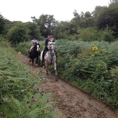 Penycoed Riding Stables