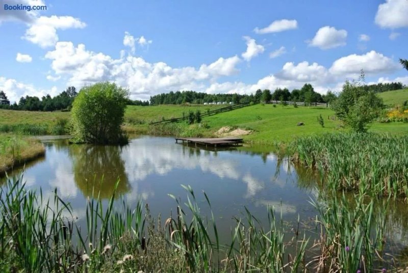 Siedlisko Jora