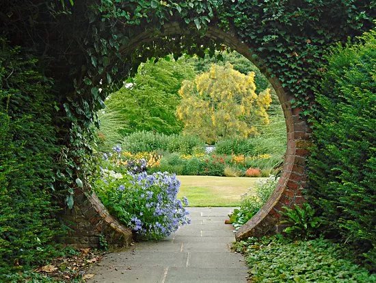 Great Comp Garden
