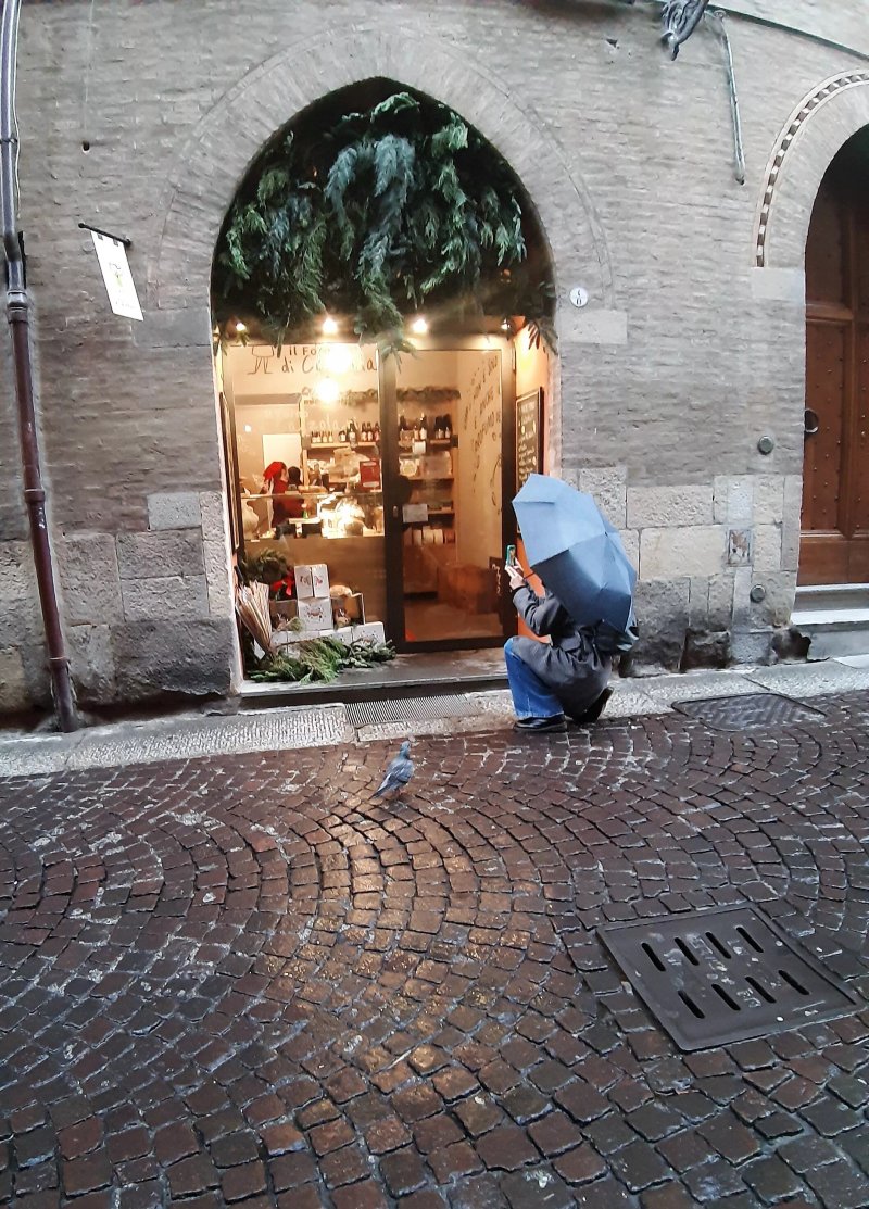Il Forno Di Calzolari - Marchesana