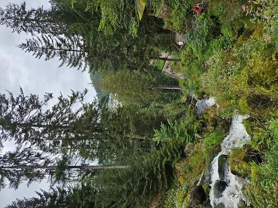 Triberg Waterfalls