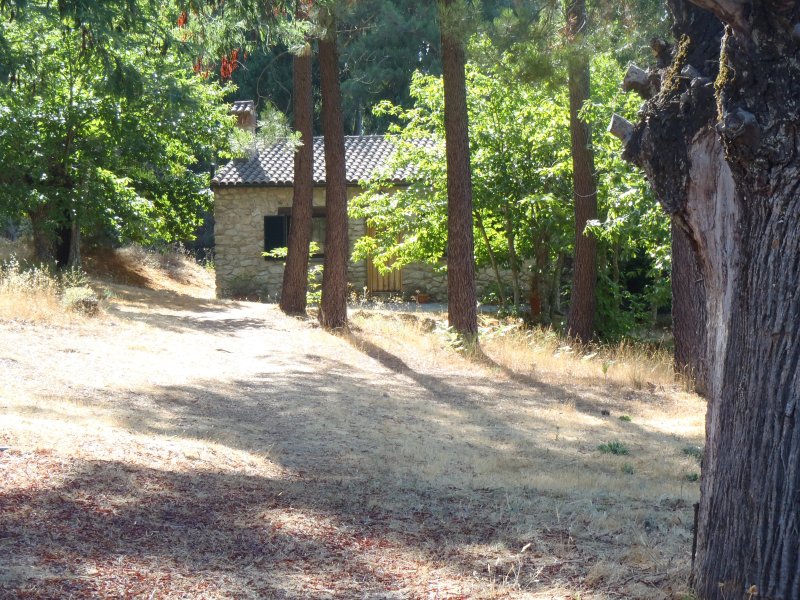 Casa Rural El Castanar