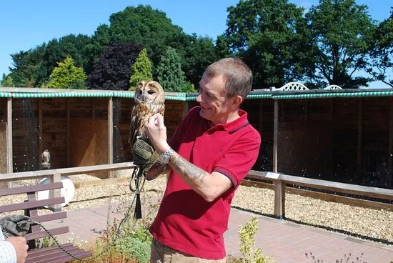 Suffolk Falconry and Hawking