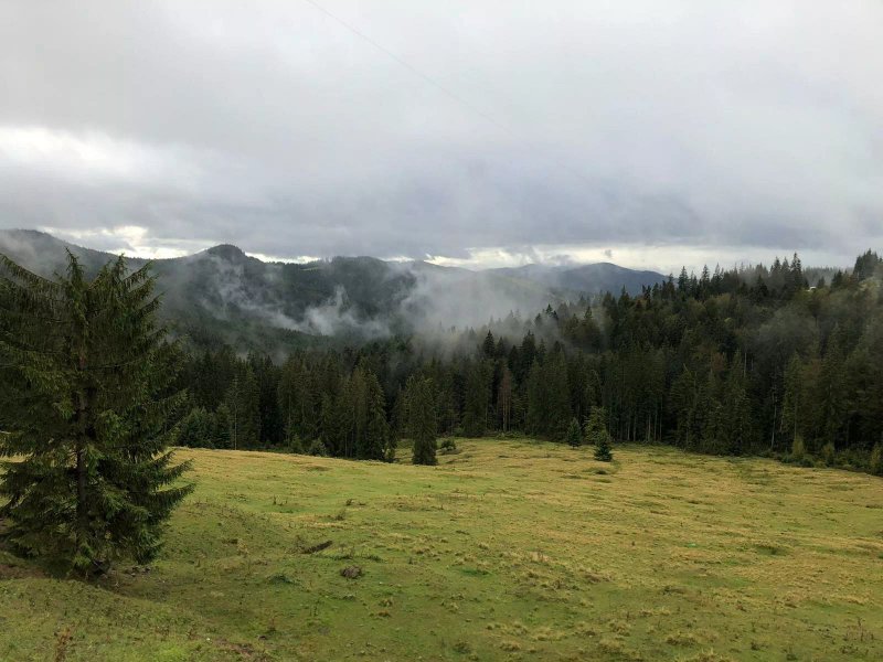 Cabana Piatra Runcului