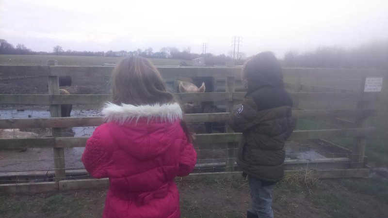 Oak Farm Park