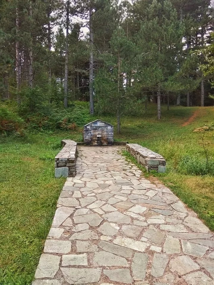 The Forest of Kallipefki