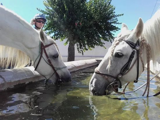 Ranch do Novo Mundo