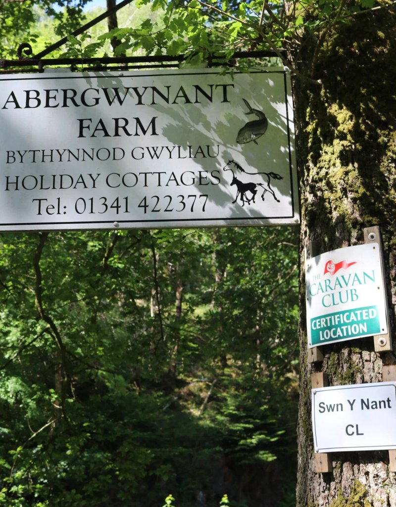 Abergwynant Campsite