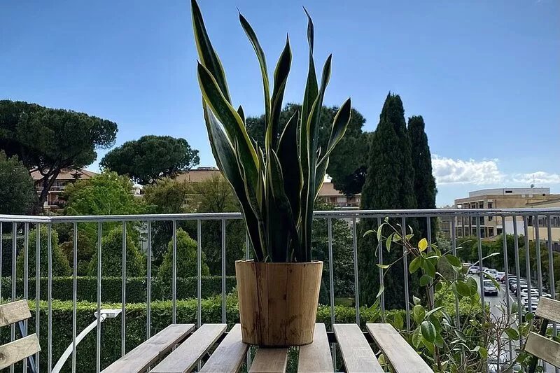 Fiello Flat #1 - Roma Tuscolana - Family Friendly